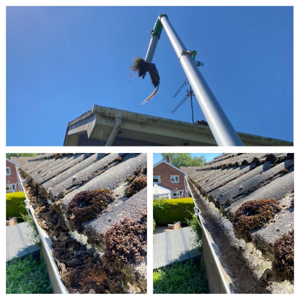 Moss and debris being lifted out of a gutter, and mossy gutters before clearing